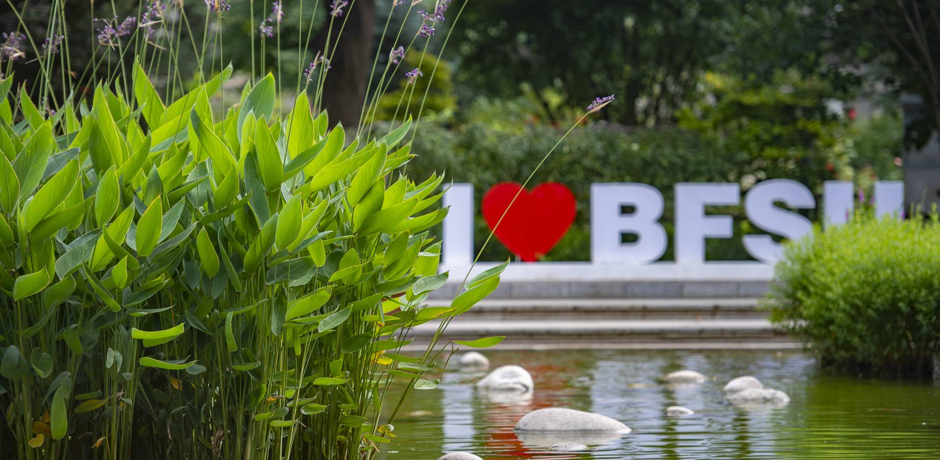 北外举办“如何进入文学世界”2026