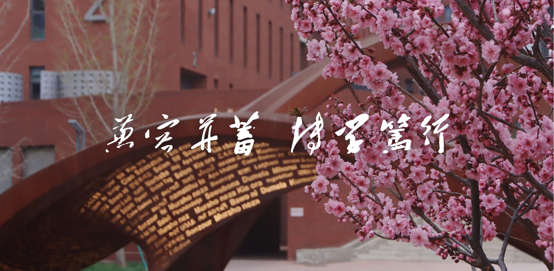 北外加入九游会j9官网新手怎么玩关键