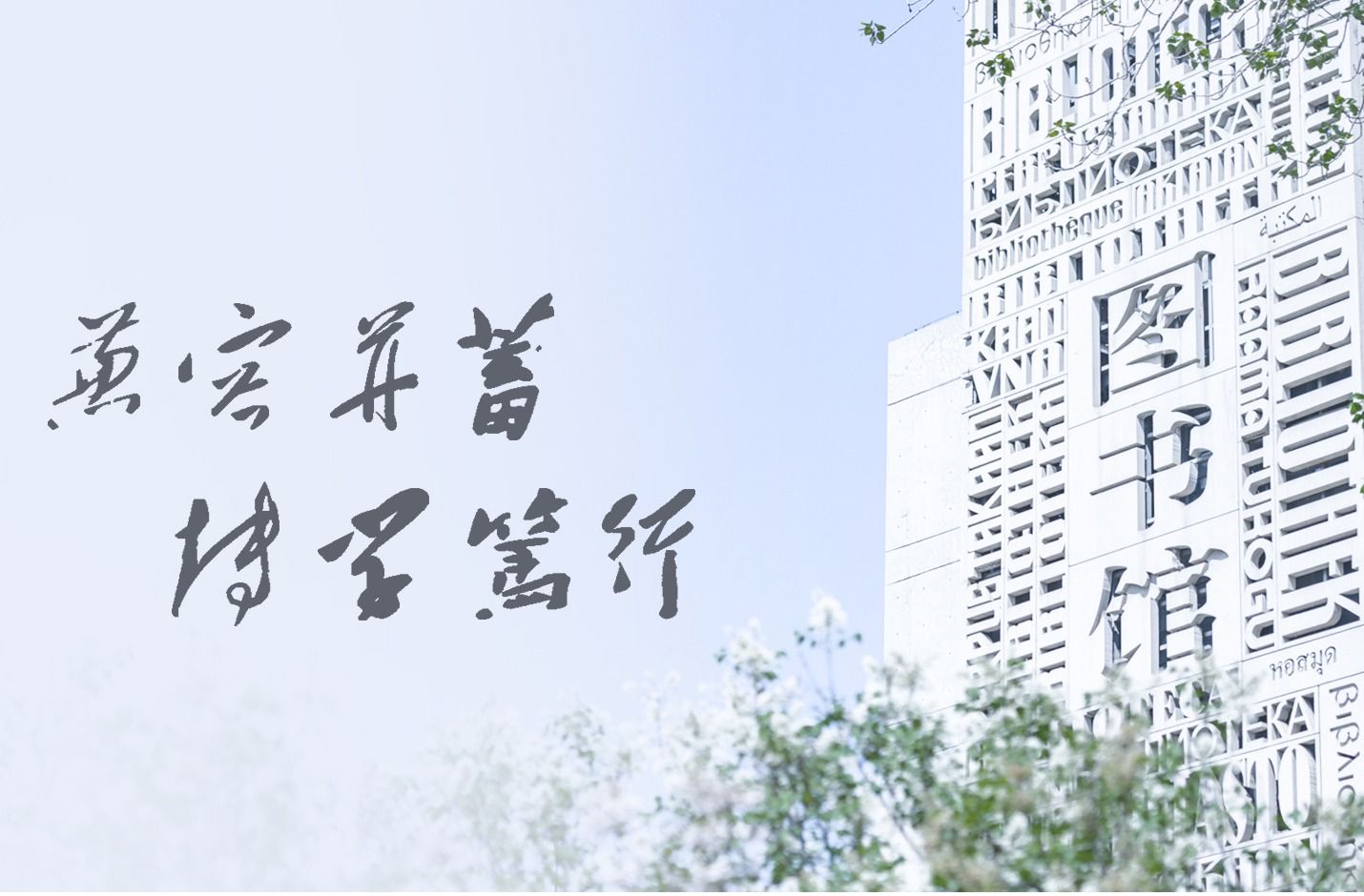 详见附件。