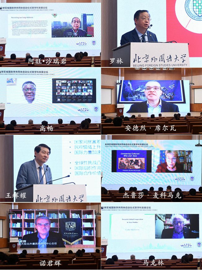 形成的国际学者学术网络